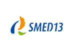 SMED13