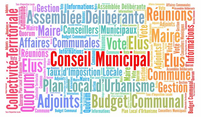 Elections municipales : précisions sur l'installation des conseils municipaux et communautaires élus dès le premier tour